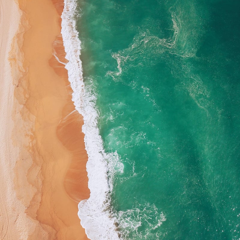 Mediterranean-Tropical Mix